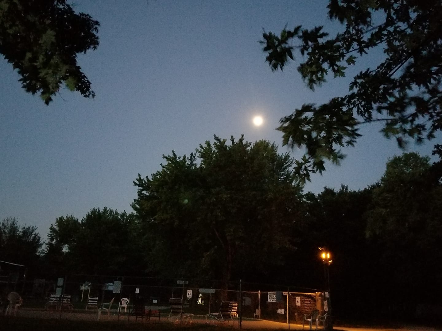 Image of Dawn at WLTC