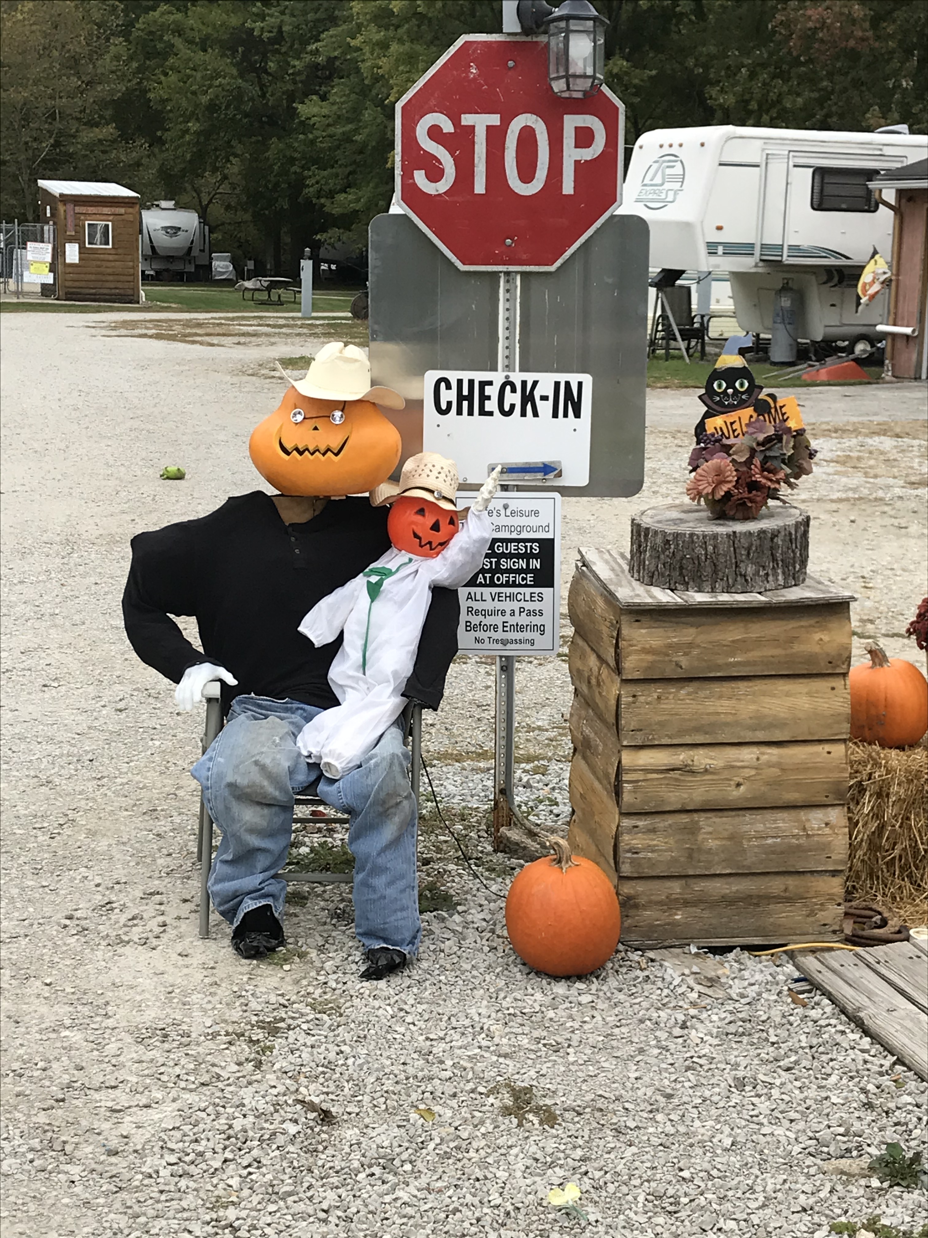 Entrance Pumkin Guard