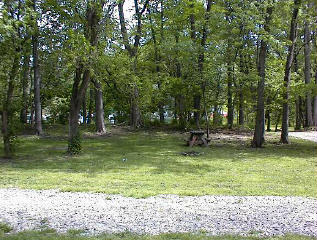Site # 201
