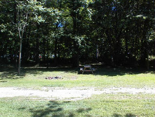 Site # 209