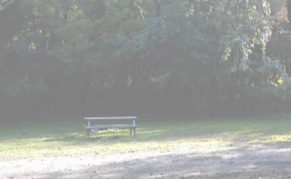 Site # 213