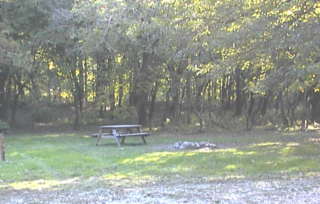 Site # 214