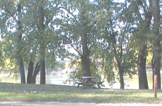 Site # 215