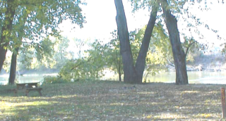 Site # 217