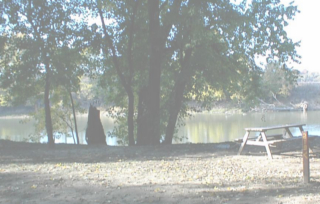 Site # 219